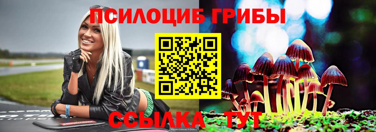 Псилоцибиновые грибы GOLDEN TEACHER  Вход с VPN  Славгород 