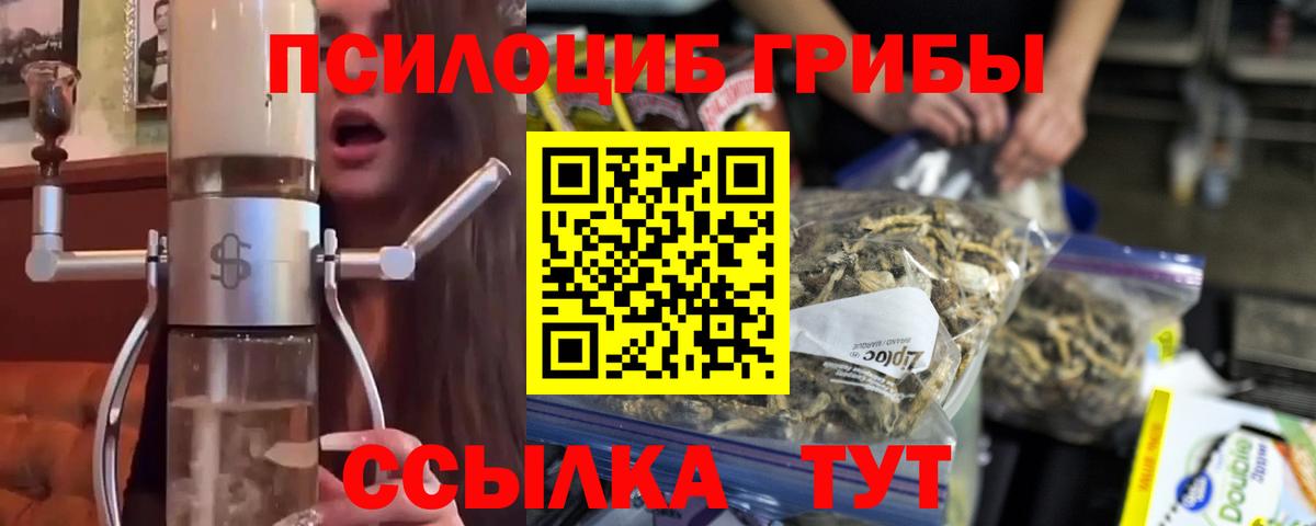 Меф Славгород